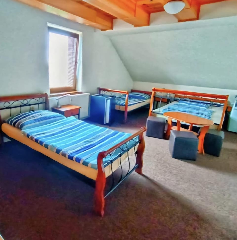 Penzion Nové dvory Bed and Breakfast in Czechia