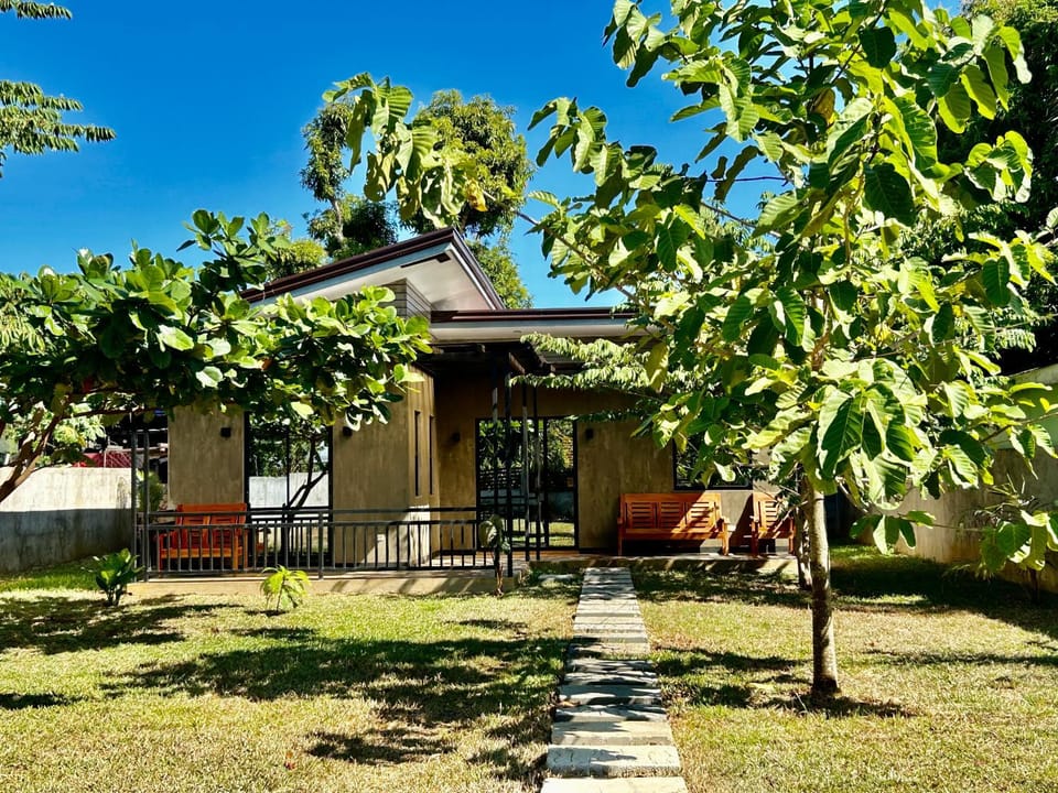 Property building, Garden, Garden view