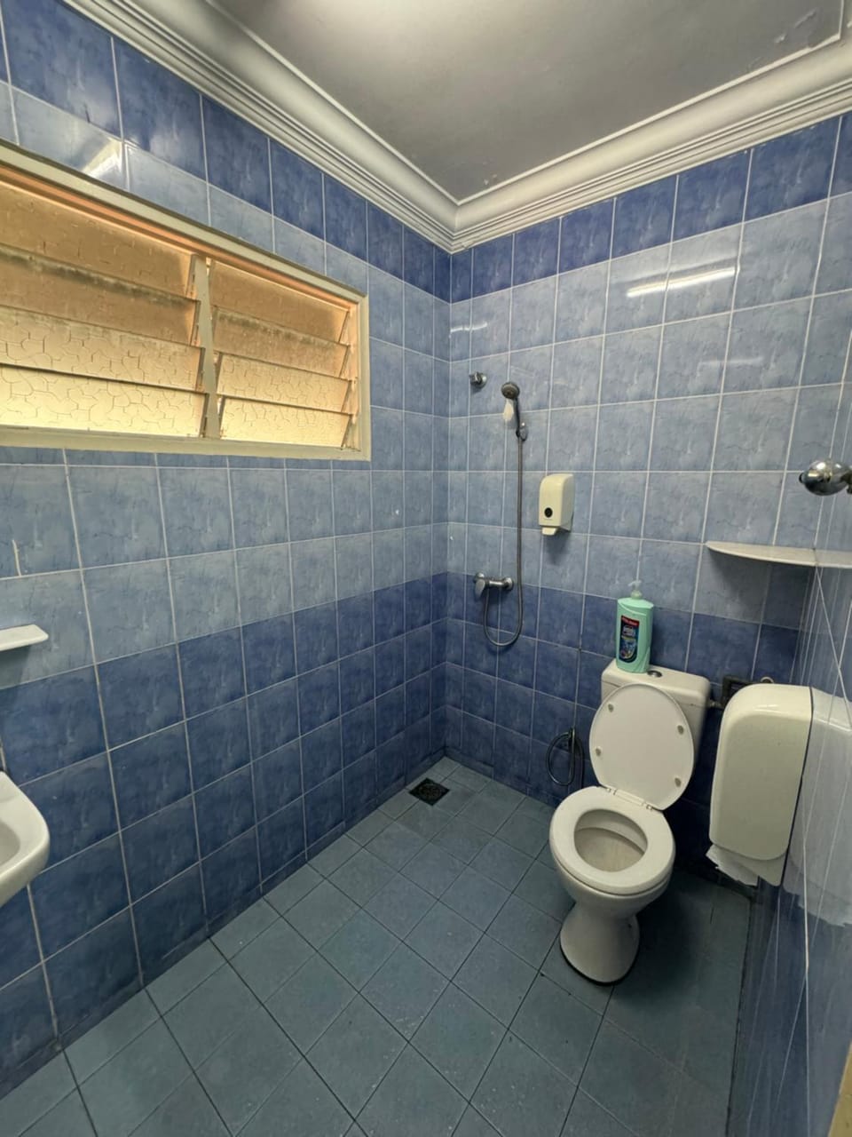 Shower, Toilet, Bathroom, bidet
