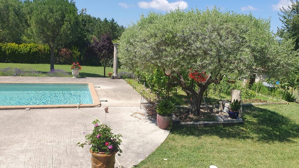 Natural landscape, Garden, Garden view, Pool view, Swimming pool