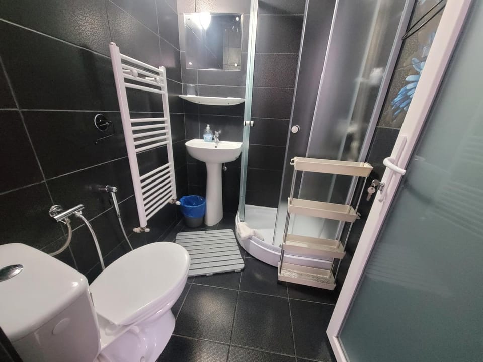Pensiunea Trei Brazi Bed and Breakfast in Moldova