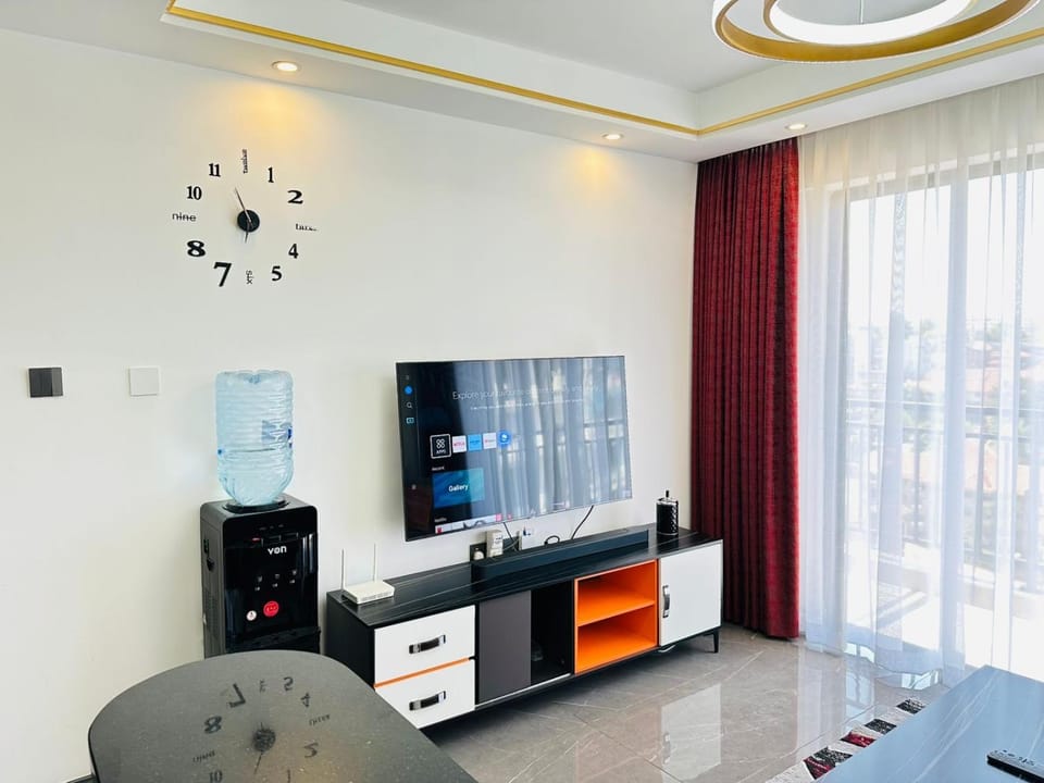 TV and multimedia