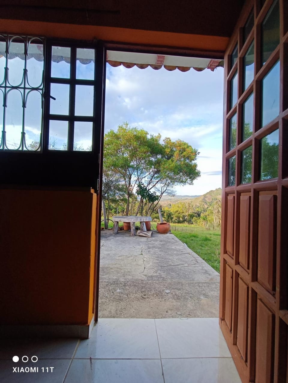 Garden view