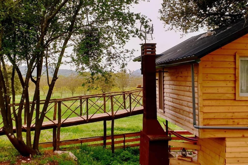 The Treehouse of The Dragon Apartment in North Macedonia