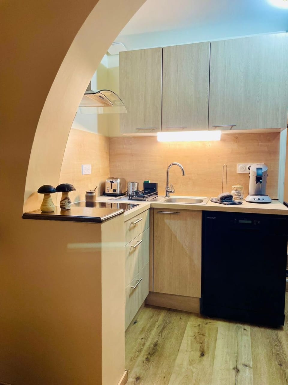 Kitchen or kitchenette
