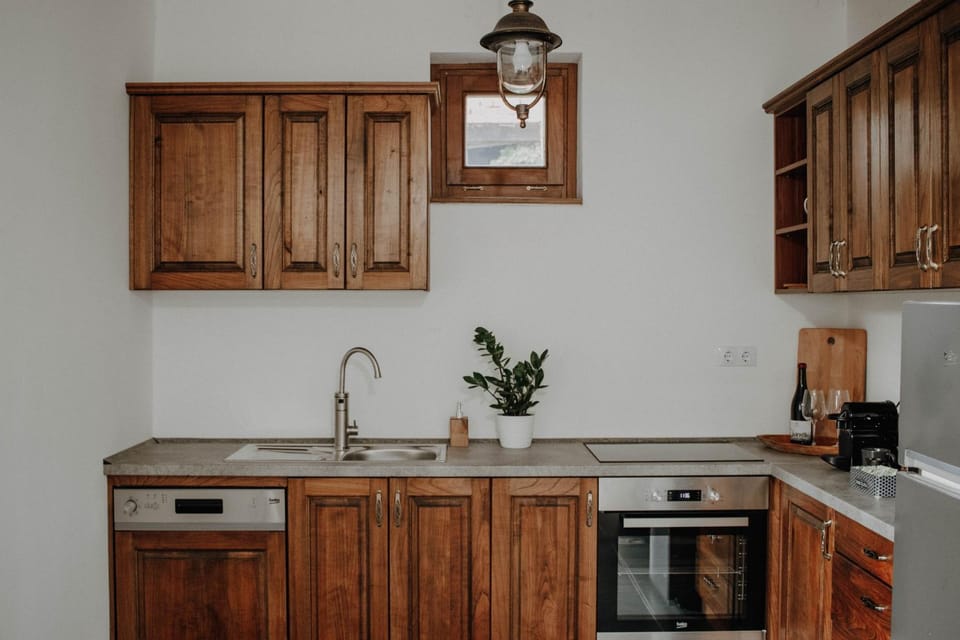 Kitchen or kitchenette, dishwasher, minibar, pet friendly, stove