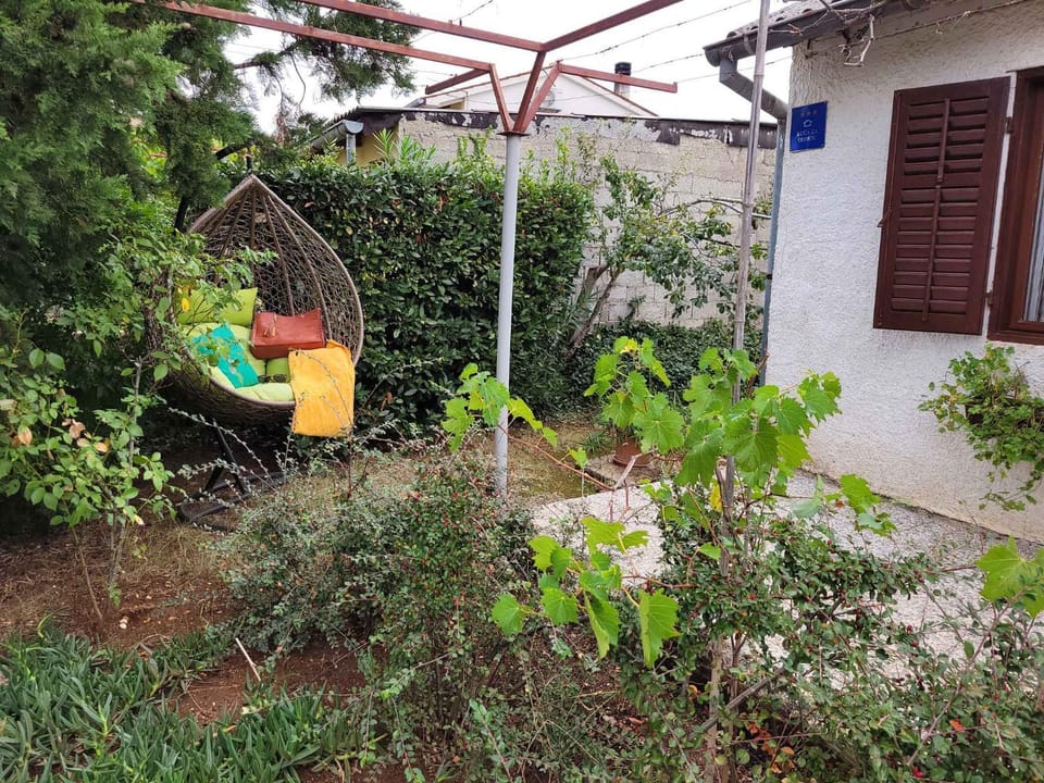 Summer, Garden