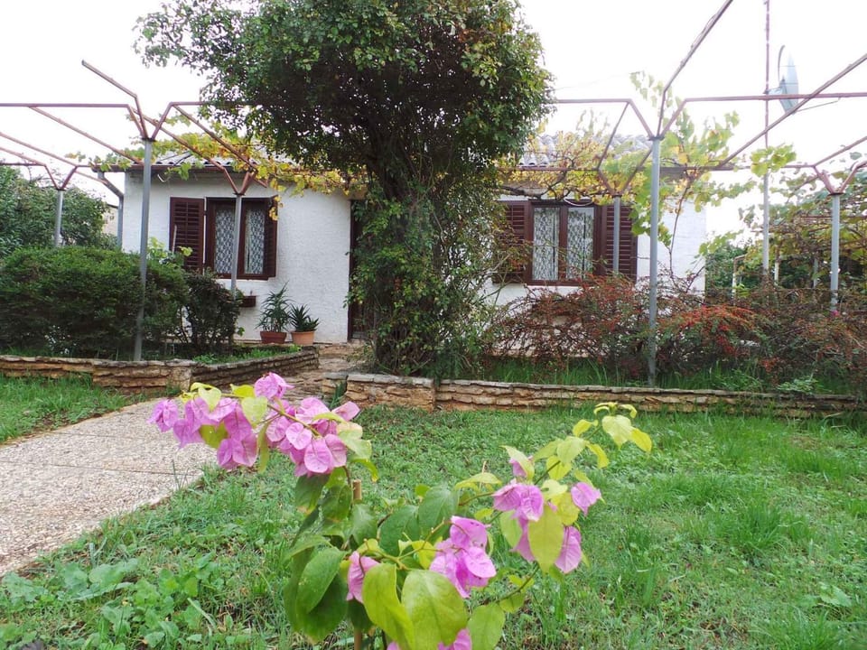 Property building, Summer