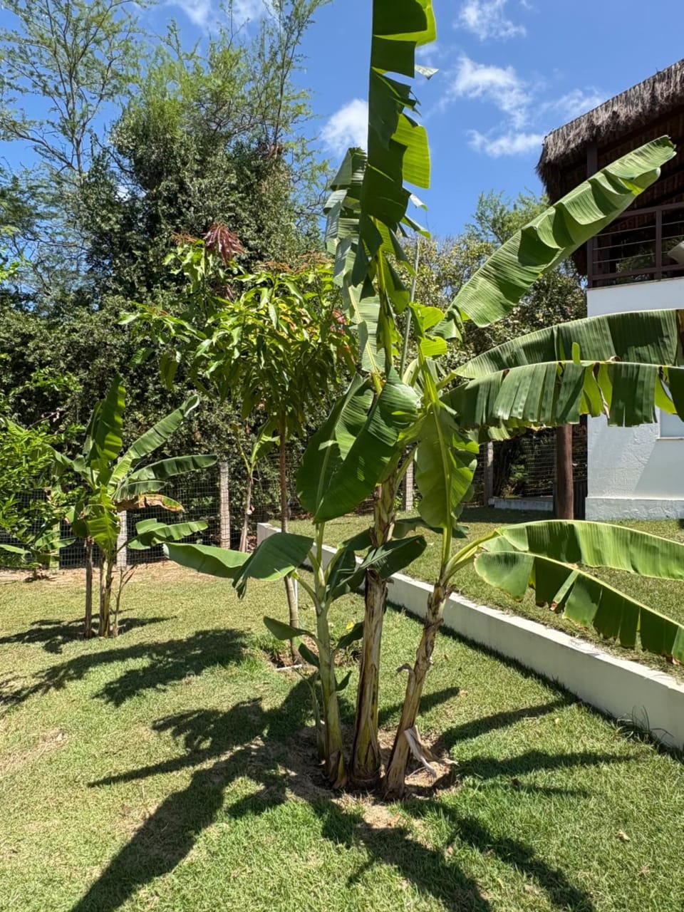 Garden, Garden view