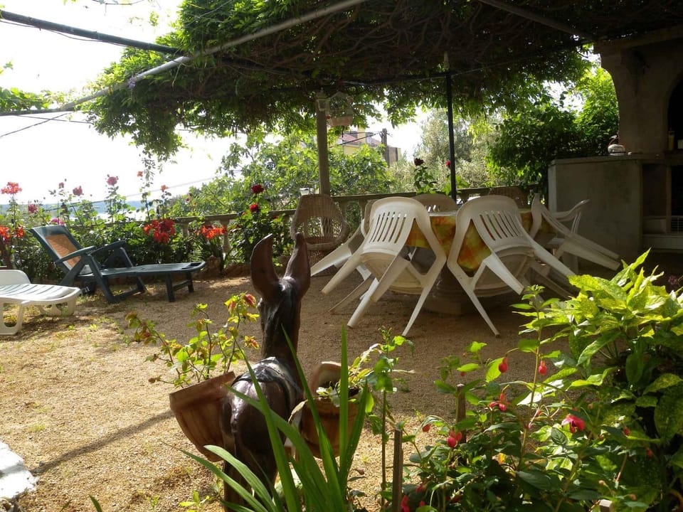 Summer, Garden