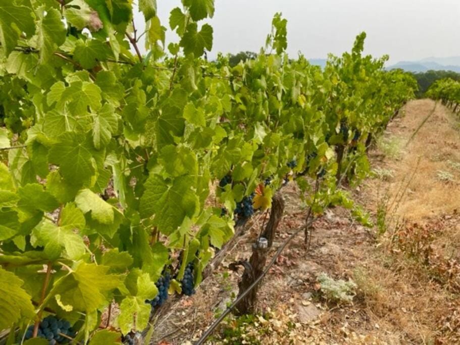 *Pinecone Hollow*Hot Tub & Game Room, Families House in Arnold