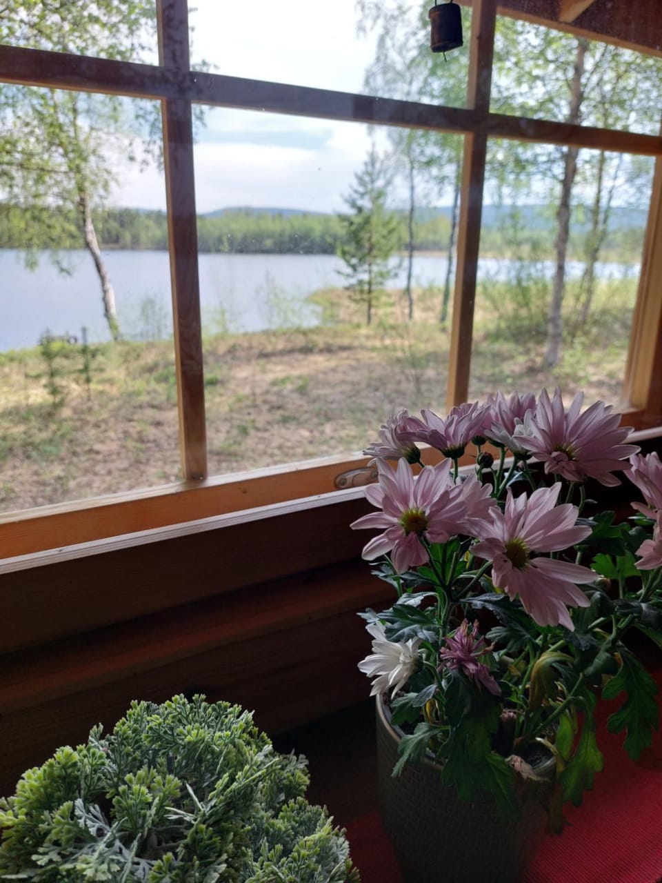 Spring, Natural landscape, Summer, View (from property/room), Lake view