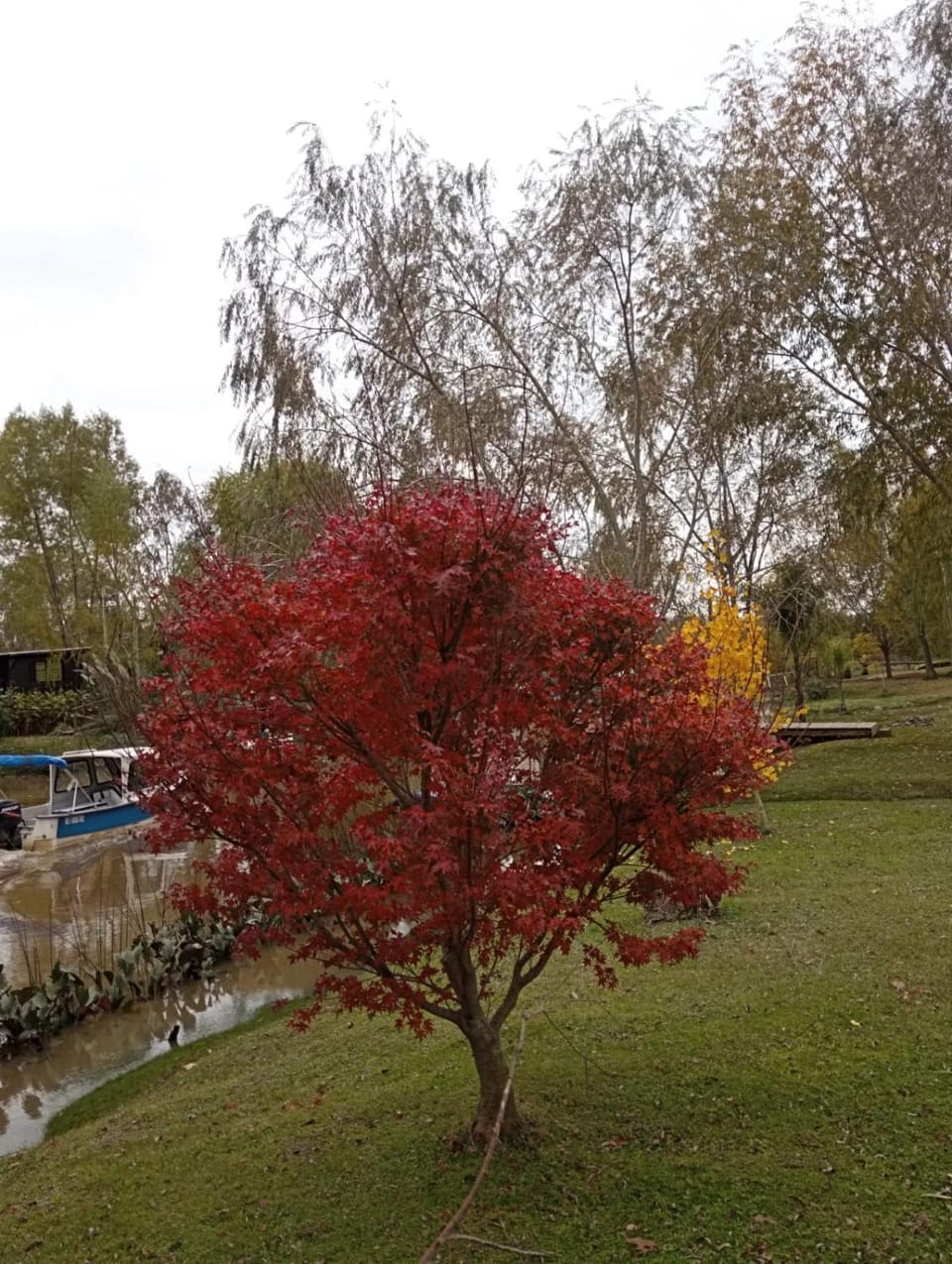 Cabaña Tres Ceibos House in Buenos Aires Province
