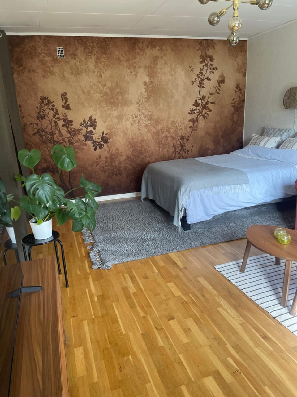 Mysig lägenhet, nära det mesta! Apartment in Västra Götaland County