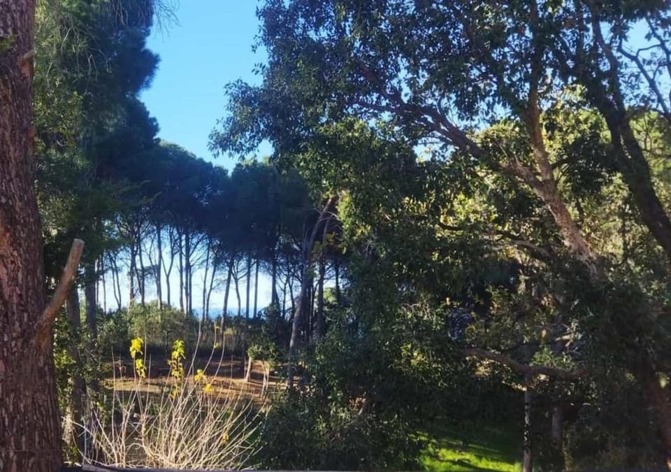 Natural landscape, Garden view