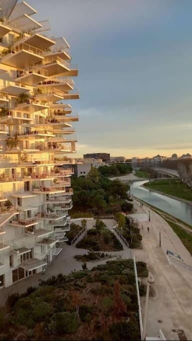 Le Parnasse : T2, vue sur le Lez, tram à proximité Apartment in Montpellier