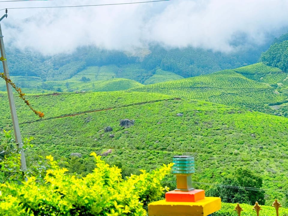 Natural landscape, Garden view, Mountain view