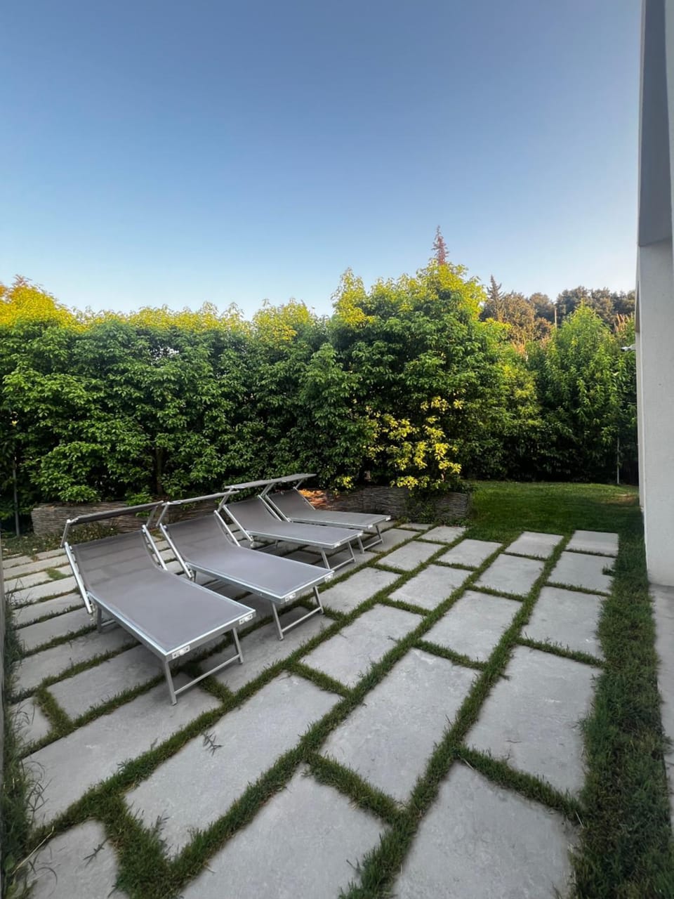 Garden, sunbed
