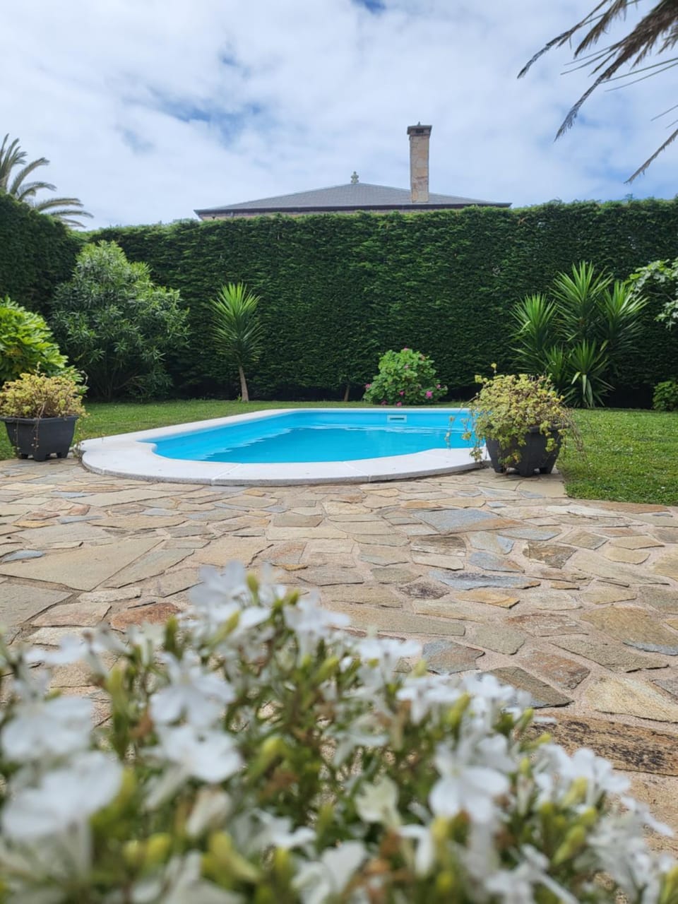 Garden, Swimming pool