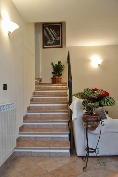 Appartamento Nara Apartment in Pietrasanta