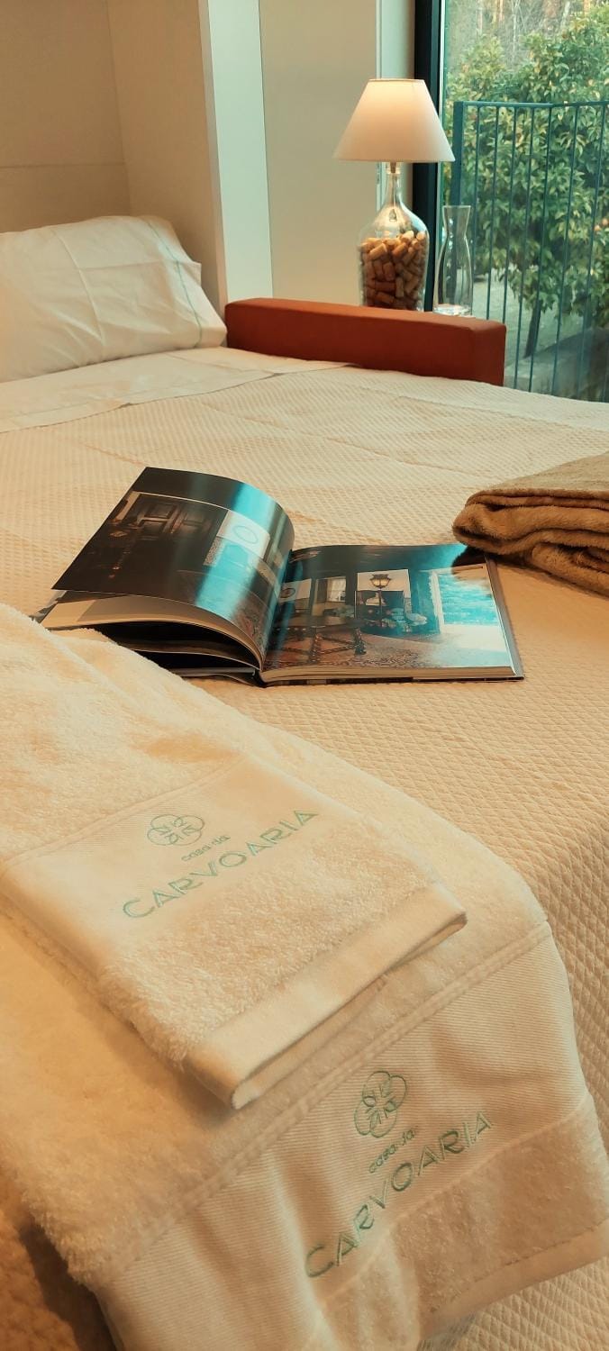 Casa da Carvoaria Apartment in Vila Real