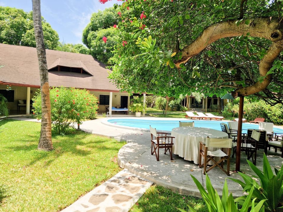 Patio, Garden, Garden view, Swimming pool, sunbed