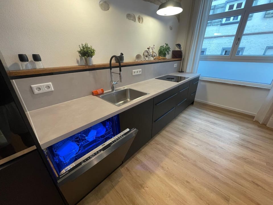 Kitchen or kitchenette, dishwasher