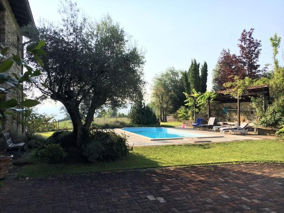 Swimming pool, sunbed