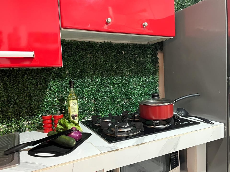 Kitchen or kitchenette, kitchen