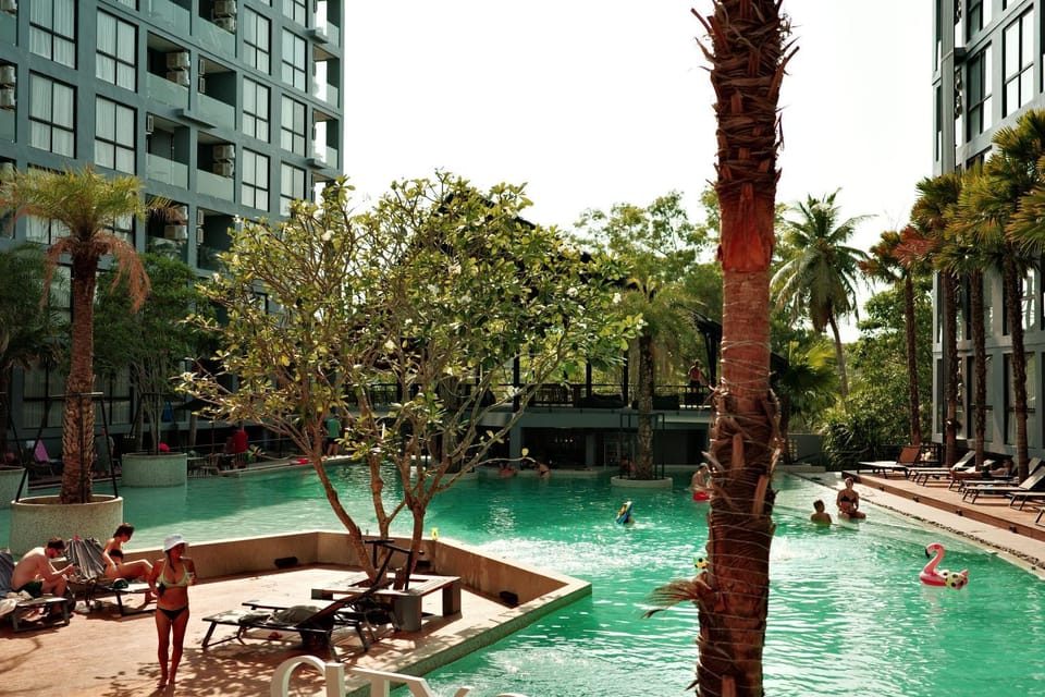 Pool view, Swimming pool