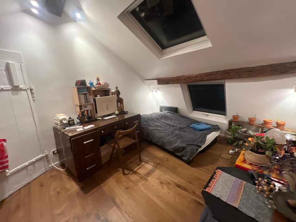 Sous les toits de Paris shared place Vacation rental in Paris