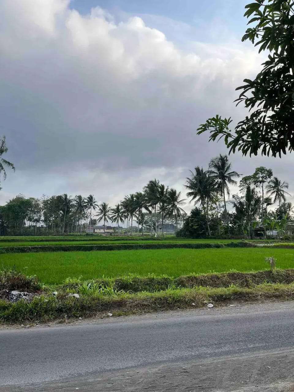 Natural landscape