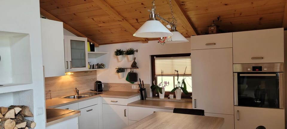 Kitchen or kitchenette, dishwasher, pet friendly, stove