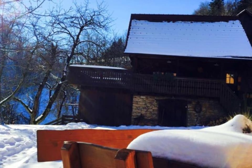 Wooden love nest House in Slovenia