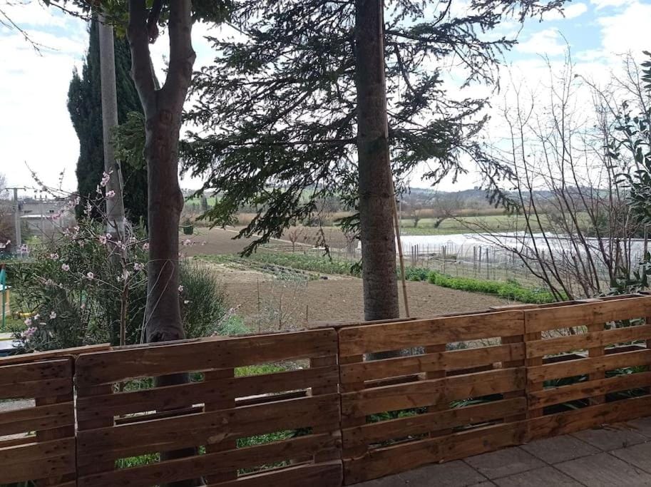 Casa Linda Apartment in Senigallia