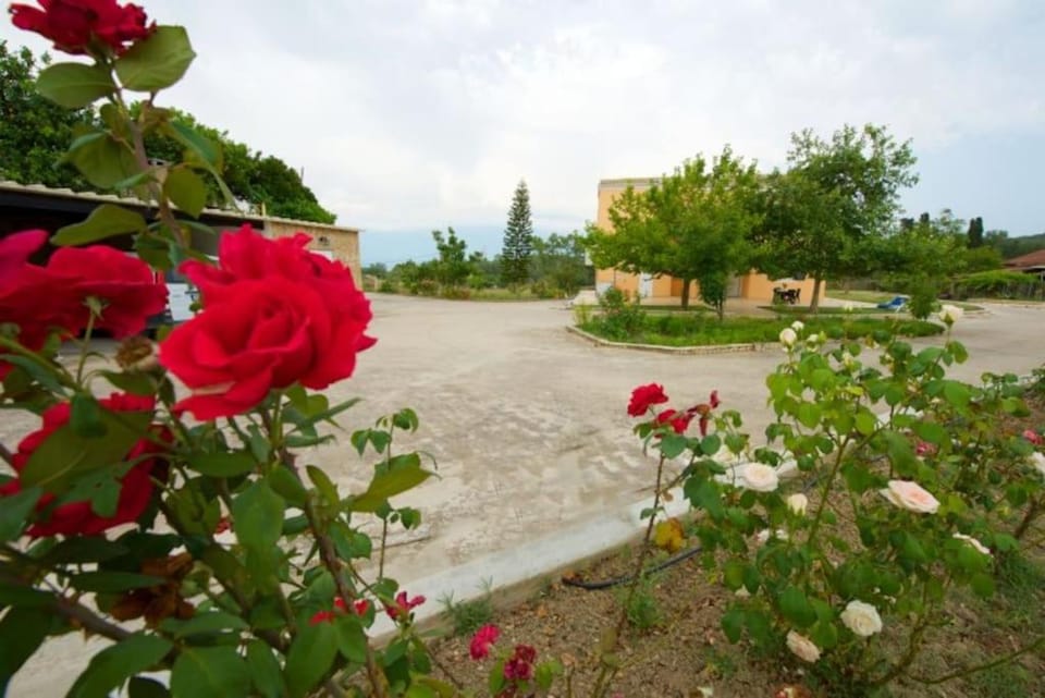 House of Roses Apartment in Corfu, Greece