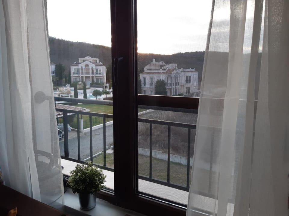 View (from property/room)