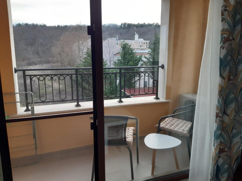 Natural landscape, View (from property/room), Balcony/Terrace, Seating area, Mountain view