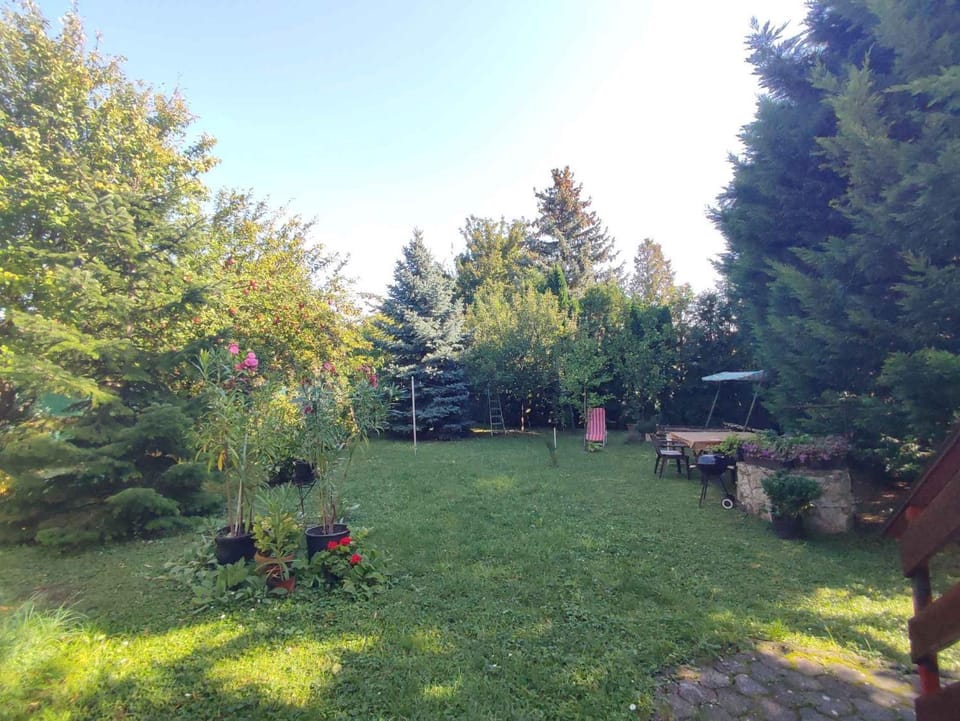 Summer, Garden