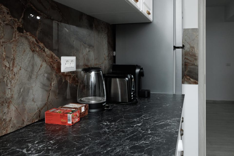 Coffee/tea facilities, Kitchen or kitchenette, minibar, toaster