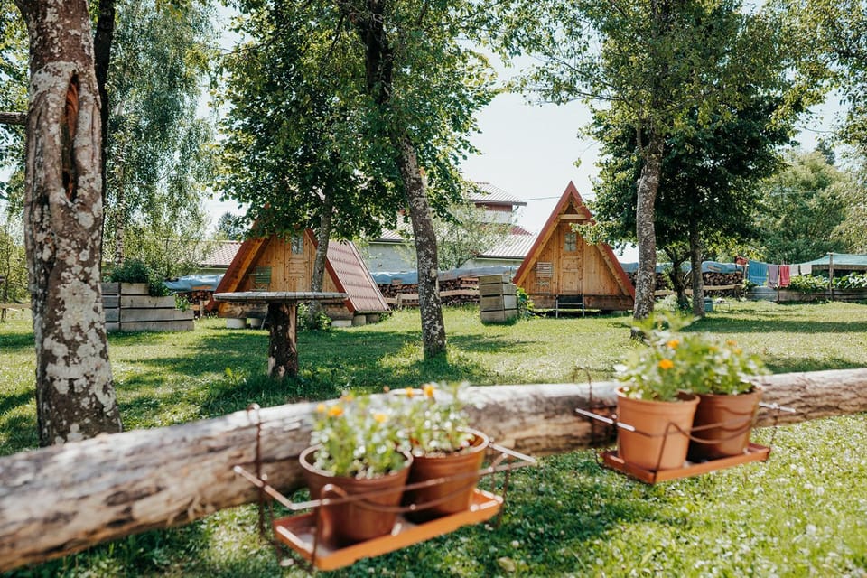 Day, Garden view