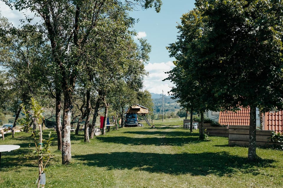 People, Garden, Garden view
