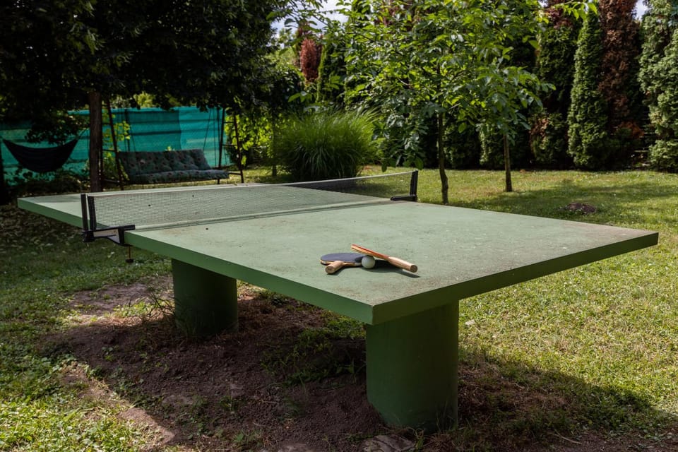 Table tennis
