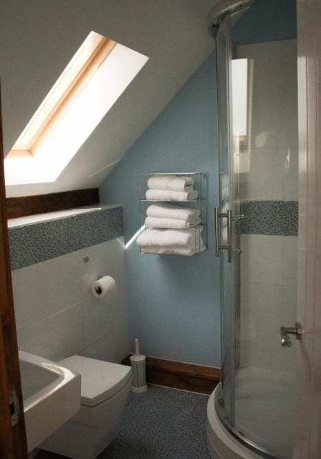 Shower, Toilet, Bathroom
