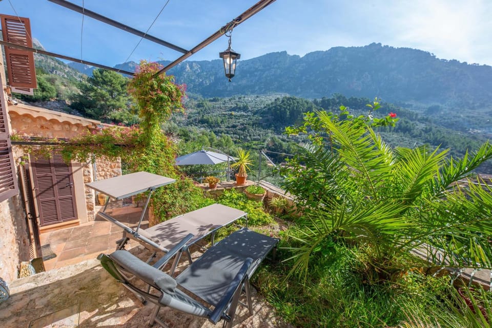 Natural landscape, Garden view, Mountain view