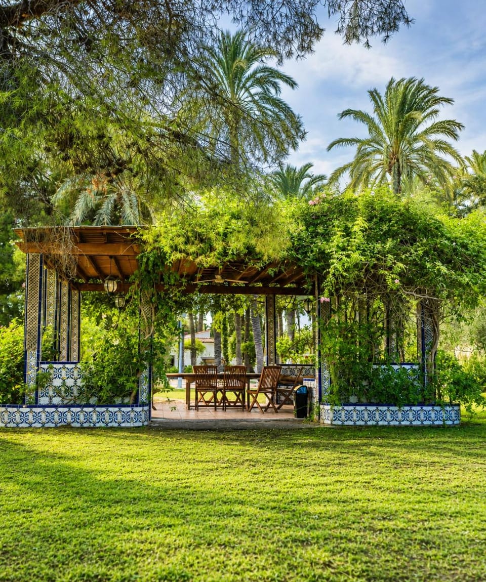 Pink Lemon House Bed and Breakfast in Vega Baja del Segura