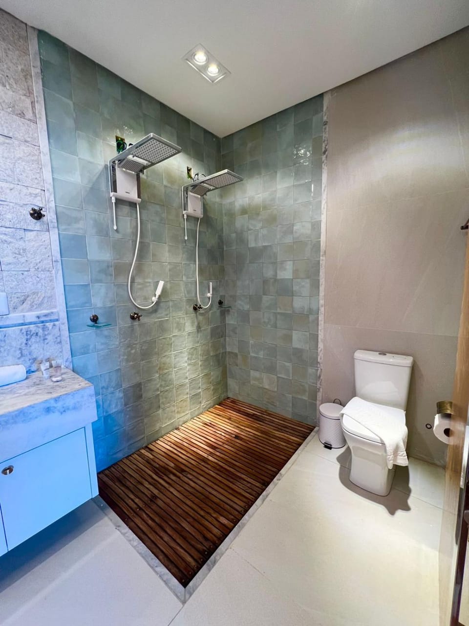 Shower, Toilet, towels