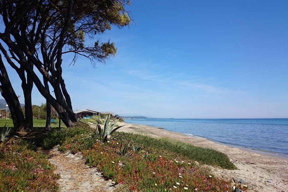 Villa Paesolu Villa in Corsica