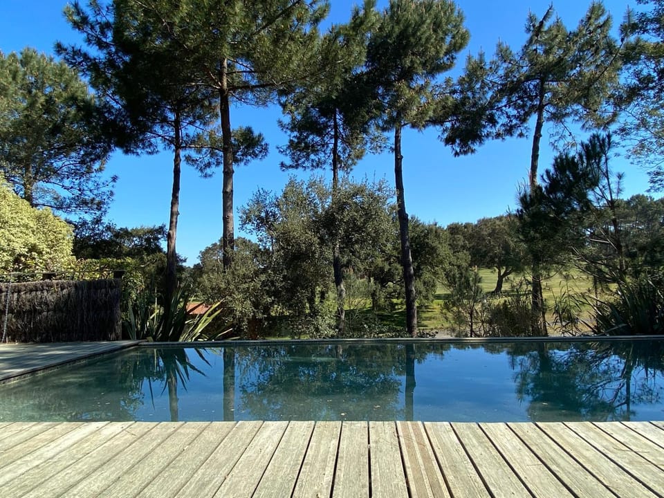 Natural landscape, Pool view, Swimming pool