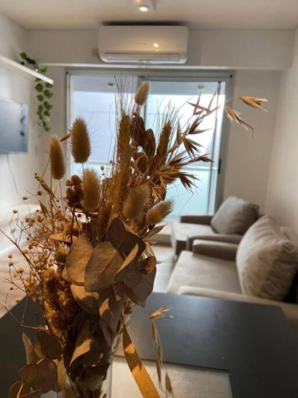 Living room, air conditioner